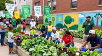 community engagement and action