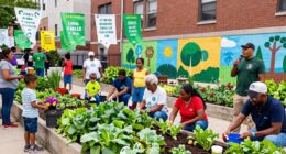 community engagement and action