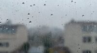 condensation indicates underlying problems