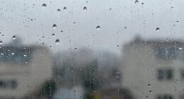 condensation indicates underlying problems