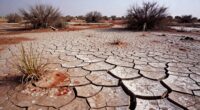 drought alters soil chemistry