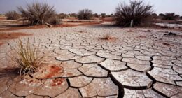 drought alters soil chemistry