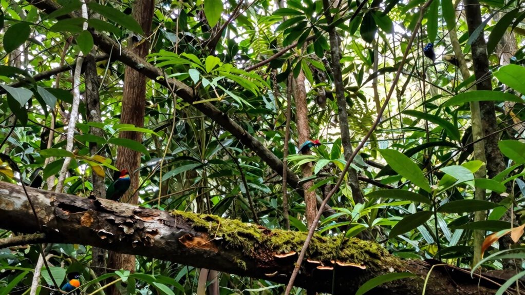 ecological and human impacts