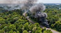 environmental myths spread quickly