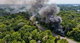 environmental myths spread quickly