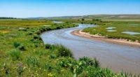 floodplains support healthy rivers