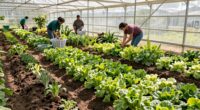 greenhouse programs aid food banks