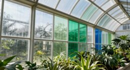 impact of glazing on greenhouse