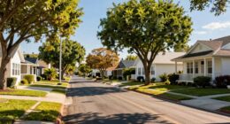 neighborhood layout influences heat
