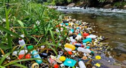 preventing plastic pollution early
