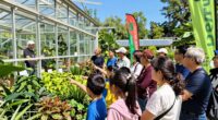 public events boost greenhouse support