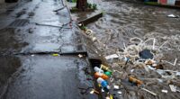 stormwater transports pollution