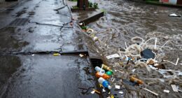 stormwater transports pollution
