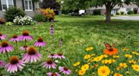 support pollinators everywhere