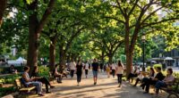tree canopy improves health