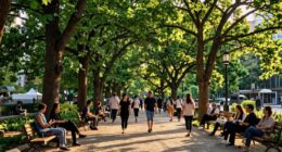 tree canopy improves health