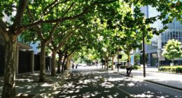 urban trees significantly reduce temperatures