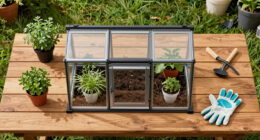 15 Best Compact Greenhouse Kits for Small-Space Growing in 2026