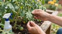 What’s Eating Your Plants? How to Identify Leaf Damage and Stop the Culprit Fast
