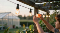 15 Best Solar-Powered Outdoor String Lights for Patio Ambience in 2026
