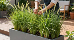 10 Best Easy-to-Grow Ornamental Grasses That Add A Professional Polish To Your Backyard