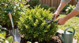 14 Best Fast-Growing Shrubs in 2026