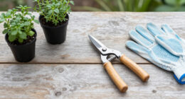 15 Best Garden Pruning Tools in 2026