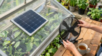 15 Best Solar-Powered Greenhouse Fans for 2026