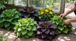 Every Garden Needs One Plant That Makes A Border Look Expensive – These 6 Add Wow Factor With Almost No Effort