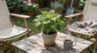 Goldie Hawn’s One-Plant Rule Makes Any Patio Look More Expensive – Even On A Budget
