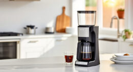 Stay Cool All Summer with Ninja Hot & Iced XL Coffee Maker