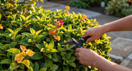These 8 Gorgeous Fast-Growing Privacy Plants Create A Sanctuary Of Color, Texture And Fragrance Before Fall
