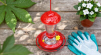 This $20 Garden Item Will Help Hummingbirds Survive The Great Migration
