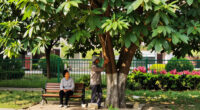 Cairo Denies Cutting Ancient Caper Tree In Maadi