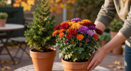 Fill Patio Pots With Vibrant Plants That Last From Fall Into Winter For A Wonderfully Colorful Cool-Season Display