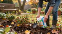 I Never Plant Shrubs Or Perennials In Fall Unless I Add This Secret Extra To The Planting Hole First