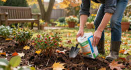 I Never Plant Shrubs Or Perennials In Fall Unless I Add This Secret Extra To The Planting Hole First