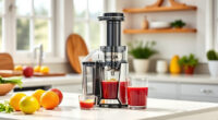 Keep Juicing Brightly: Summer Care & Troubleshooting for Ninja NeverClog Juicer