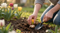 Meet Your Birth Month Bulb – And The Meaning Behind All 12 Beautiful Spring Blooms