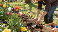 Sorry Tulips, These Are The 7 Bulbs Everyone's Planting This September
