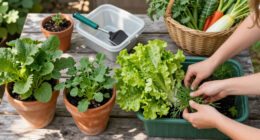 Stop Growing These 6 Vegetables In The Ground – They Grow Better In Containers For Longer, Tastier Harvests