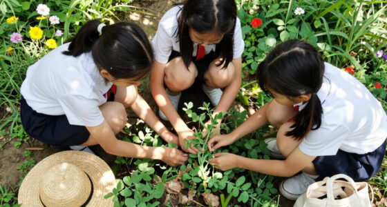 Three Schoolgirls In Kinsale Pulled Up A Pea Plant Covered In Warts (2016)