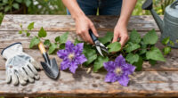 What Your Clematis Needs In September – 5 Easy Tasks To Boost Your Blooms And Protect Next Year’s Display