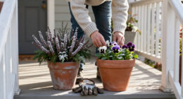 10 Best Frost-Hardy Porch Plants for 2027