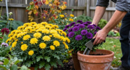 11 Best Fall-Blooming Garden Flowers for Color Through Autumn in 2027