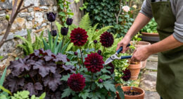 11 Best Gothic Garden Plants for Dramatic Color in 2027