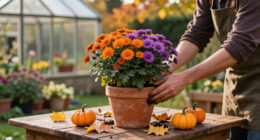 11 Best Halloween Garden Planters in 2027