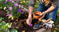 11 Best Purple Fall Flower Seeds for Lasting Seasonal Color in 2027