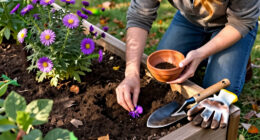 11 Best Purple Fall Flower Seeds for Lasting Seasonal Color in 2027