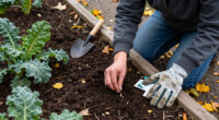13 Best Fall Vegetable Garden Seeds for Cool-Weather Harvests in 2027
